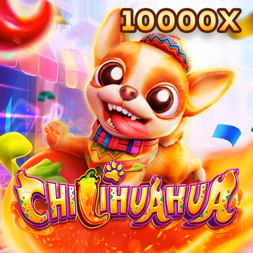 FaChai Chihuahua